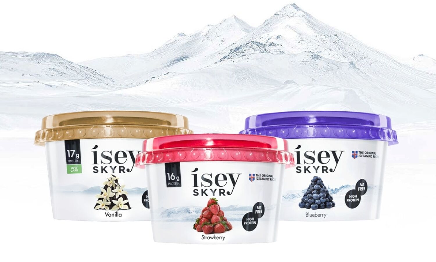 Isey Skyr Edi Exact Online