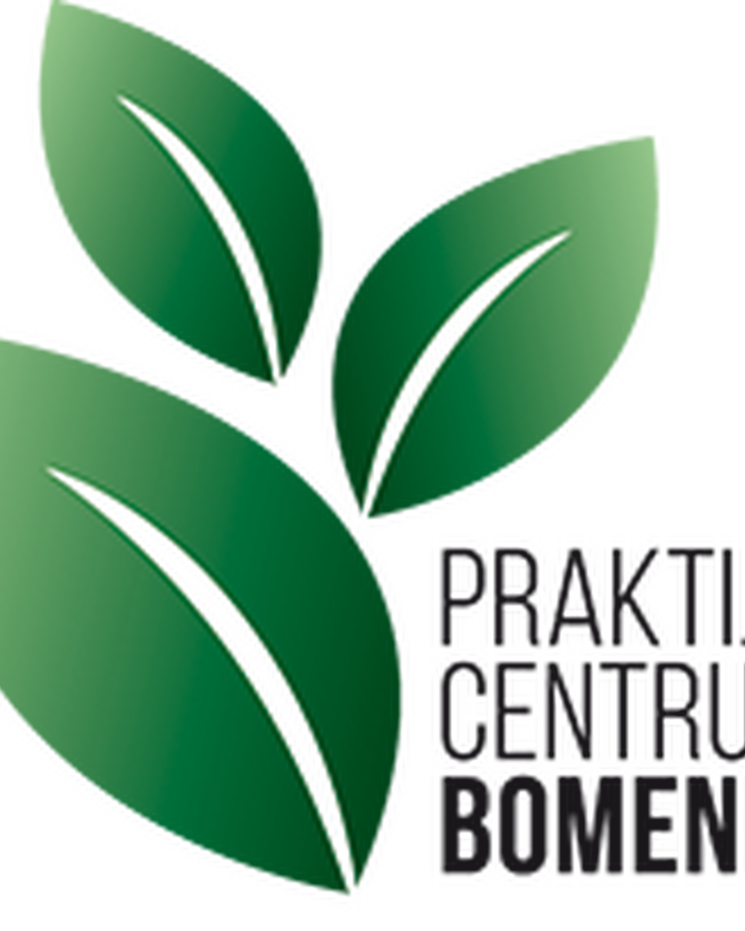 Pcb Bomen Logo Klein